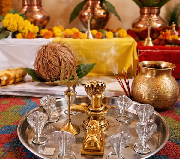 kalsarp pooja trimbakeshwar performed by sandeep guruji for kalsarpa dosh nivaran